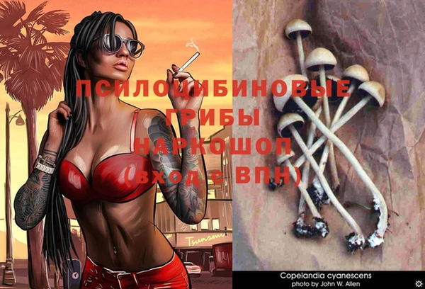 а пвп мука Аркадак
